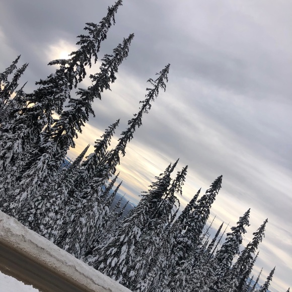 Meet your Posher, Vanessa - Picture 1 of 1